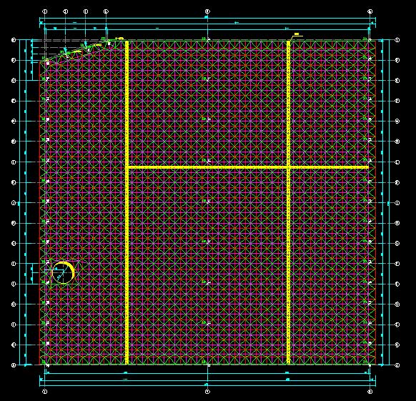 宁波东营金岭化工大王煤棚网架